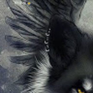 Meet your Posher, Caryl